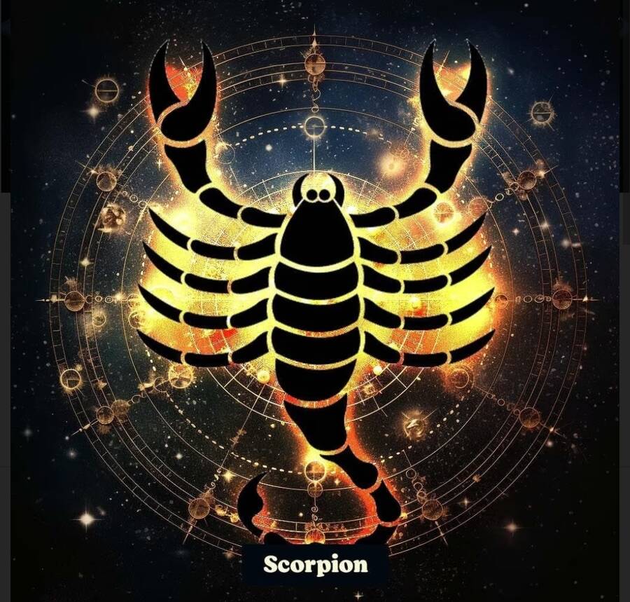 scorpion.jpg